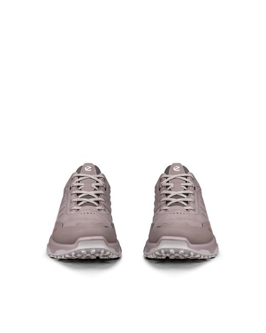 Ecco Brown Receptor Xp
