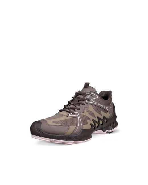 Ecco Brown Biom Aex