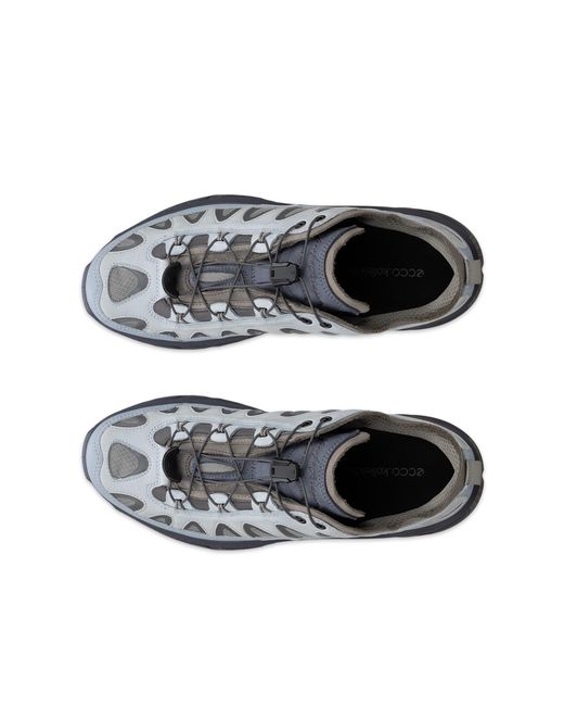 Ecco Blue Wm Receptor Xp