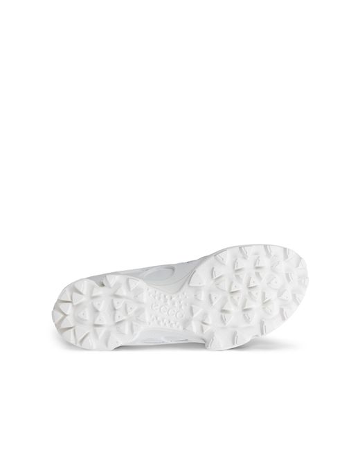 Ecco Gray Biom C-Trail for men