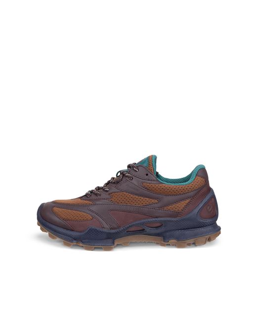 Ecco Brown Biom C-Trail
