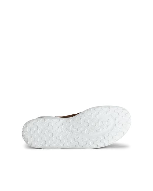 Ecco Brown Biom Lite for men