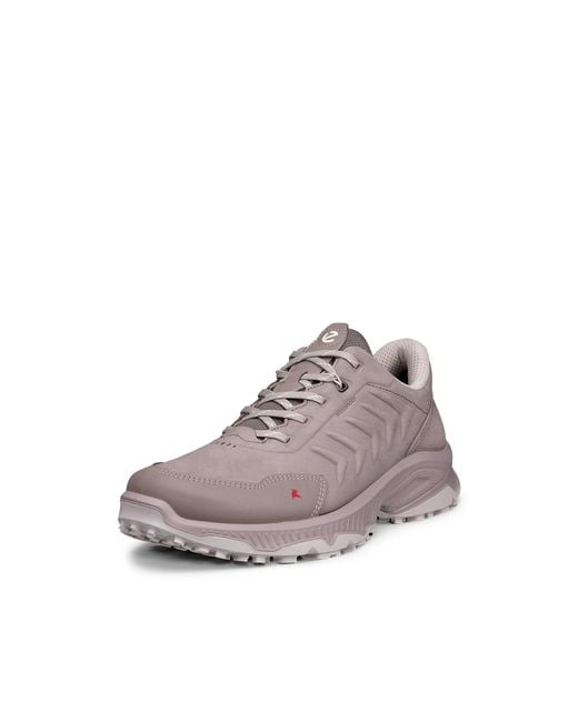 Ecco Brown Receptor Xp
