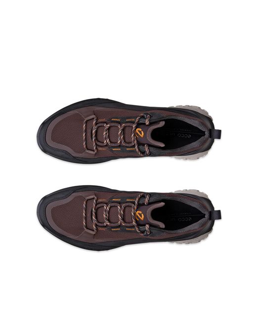 Ecco Brown Ult-Trn for men