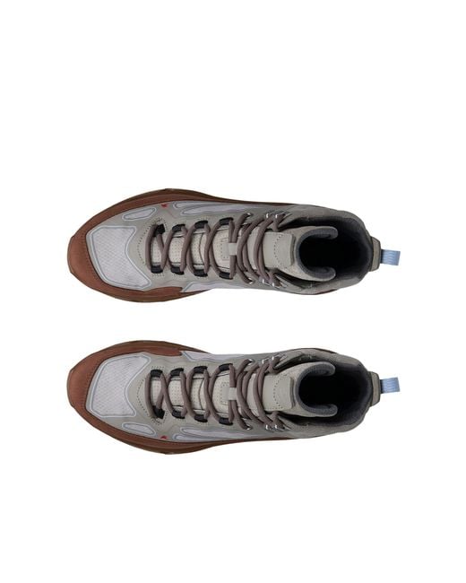 Ecco Brown Receptor Xp