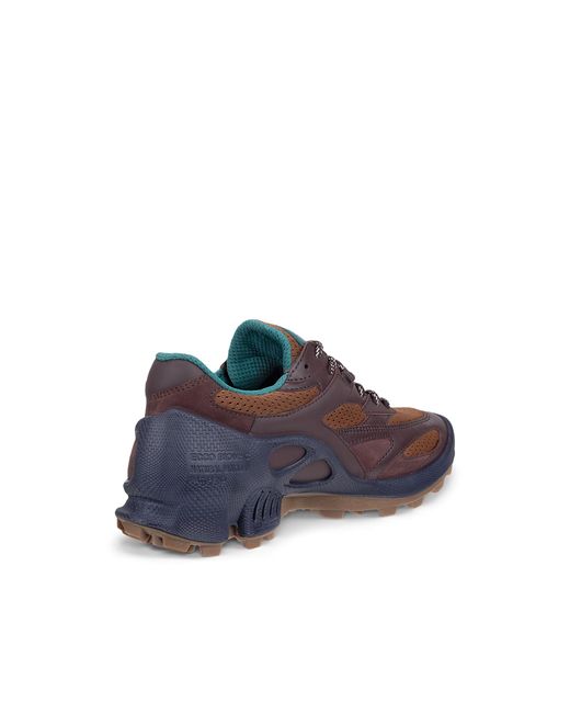 Ecco Brown Biom C-Trail