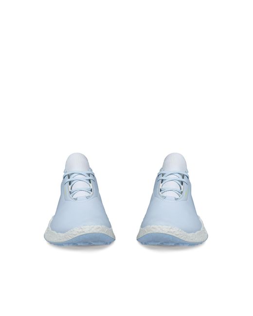 Ecco Blue Golf Biom H5