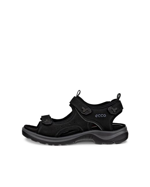 Ecco Black Offroad