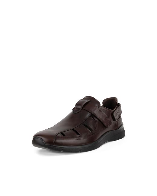 Ecco Brown Irving for men