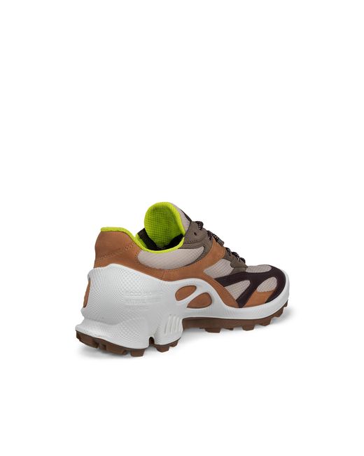 Ecco Brown Biom C-Trail for men
