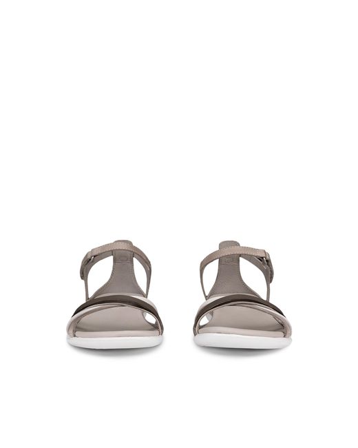 Ecco Gray Flash