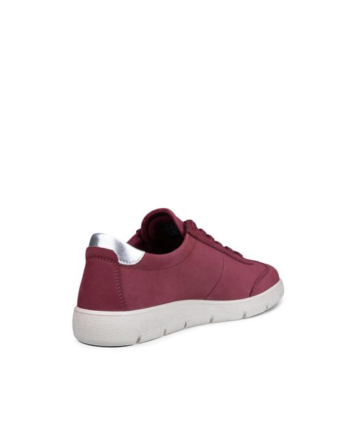 Ecco Purple Bella 2