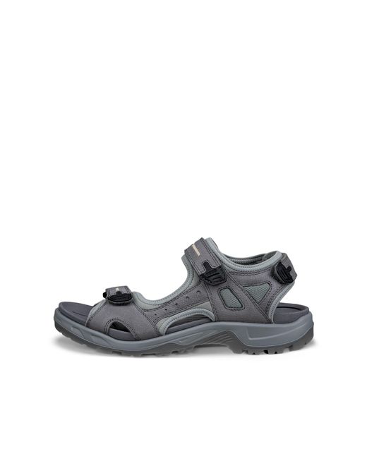 Ecco Gray Offroad for men