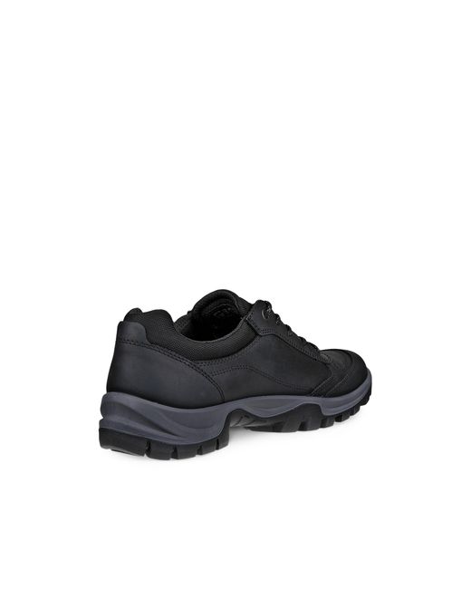 Ecco Blue Xpedition Iii for men