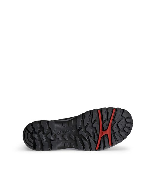 Ecco Blue Xpedition Iii for men