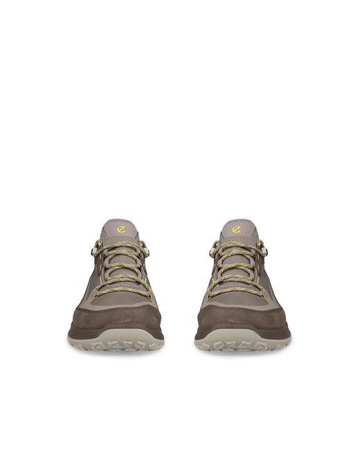 Ecco Brown Ult-Trn