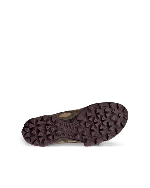 Ecco Brown Biom C-Trail W