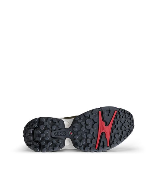 Ecco Gray Receptor Xp for men