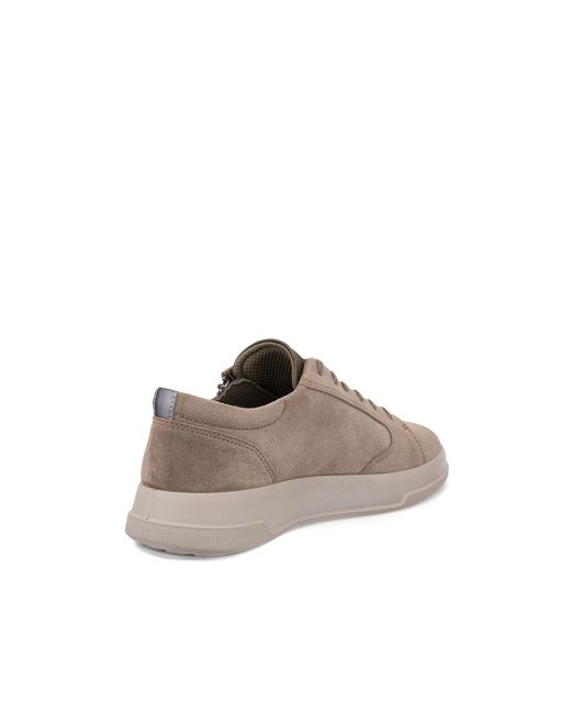 Ecco Brown Move