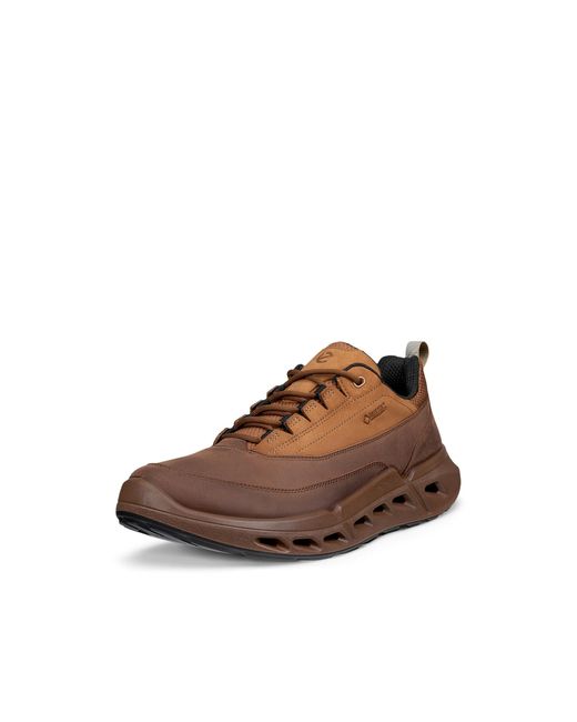 Ecco Biom 720 in Brown für Herren