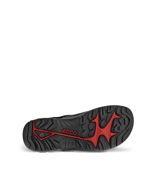 Ecco Black Offroad for men