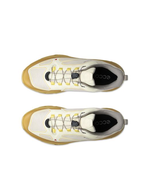 Ecco Metallic Receptor Xp