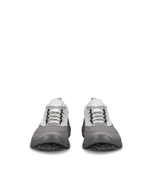 Ecco Gray Biom 720 for men