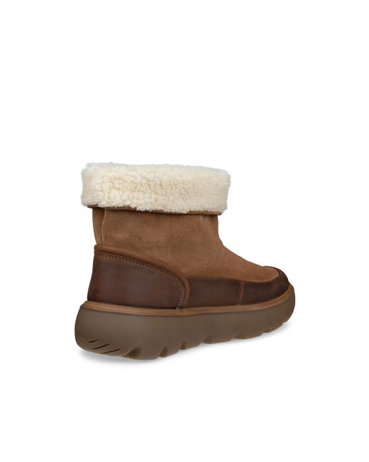 Ecco Brown Glacia