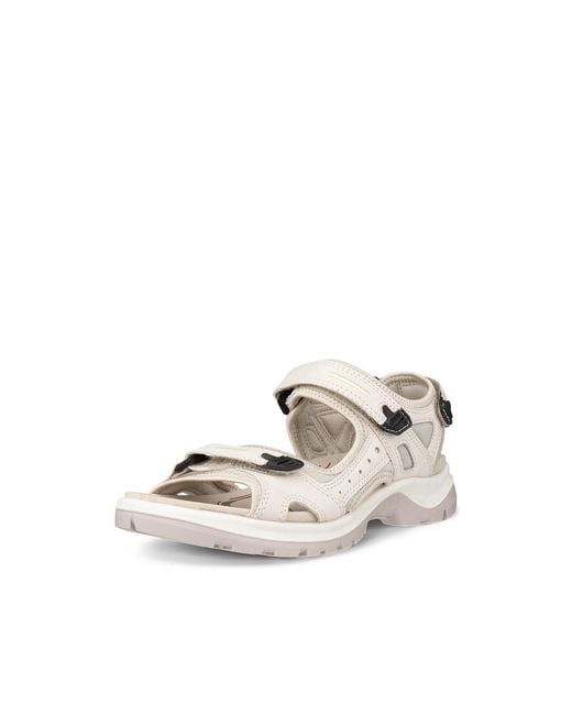 Ecco Metallic Offroad