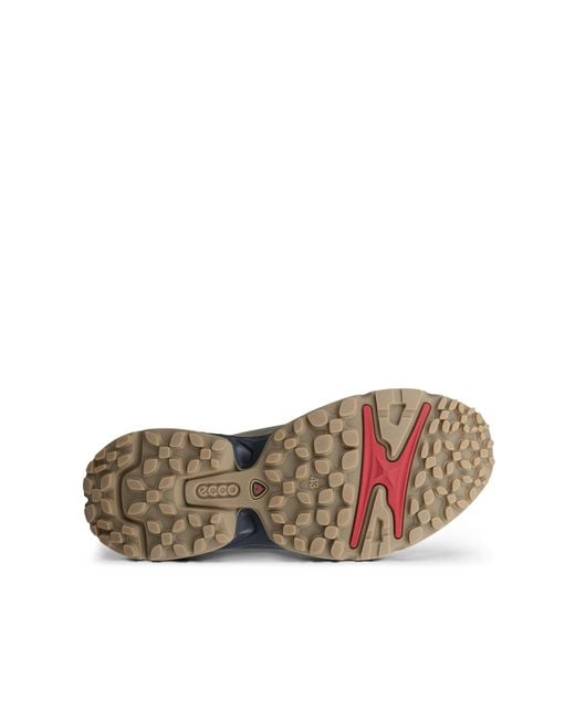 Ecco Gray Receptor Xp for men
