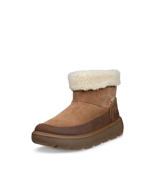 Ecco Brown Glacia