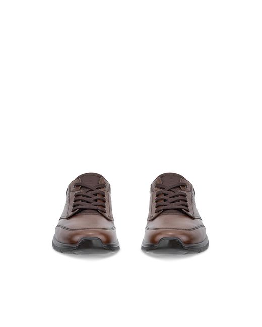 Ecco Brown Irving for men