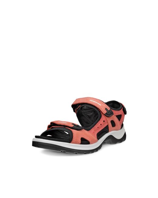 Ecco White Offroad