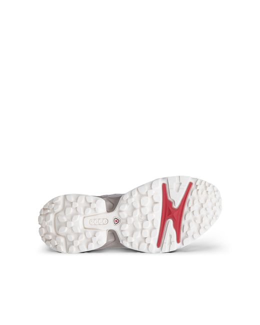 Ecco White Receptor Xp