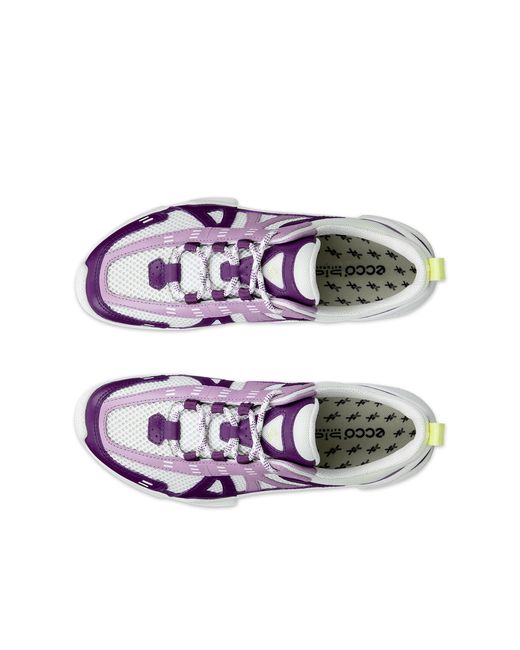 Ecco Purple Biom C-Trail