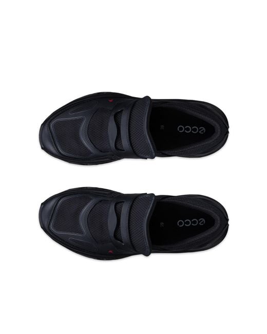 Ecco Blue Receptor Xp