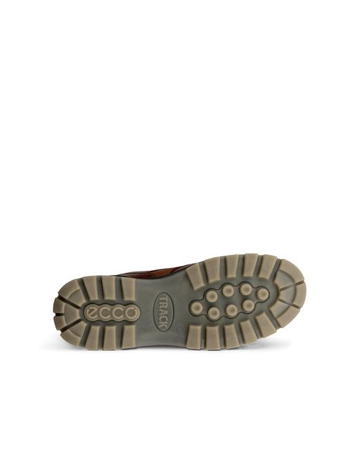 Ecco Brown Track 25 for men