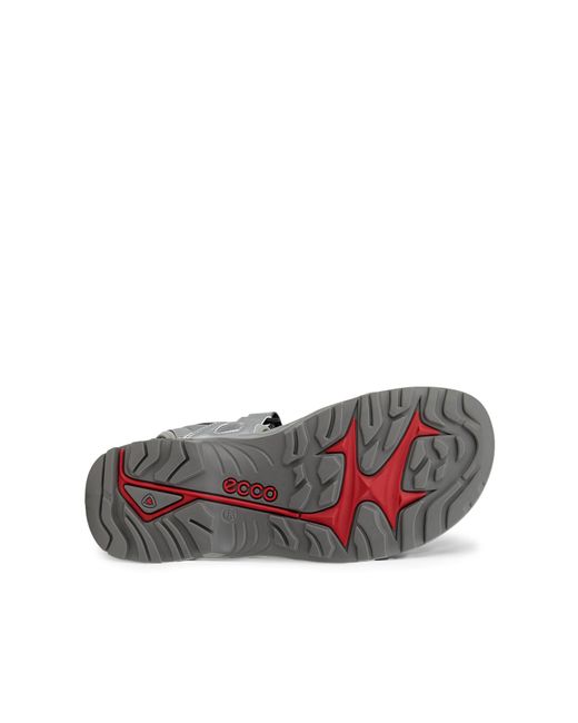 Ecco Gray Offroad for men