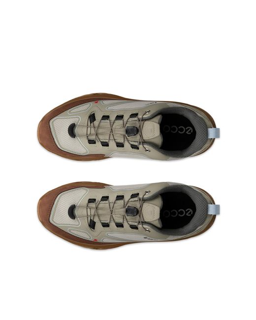 Ecco Receptor Xp in Brown für Herren