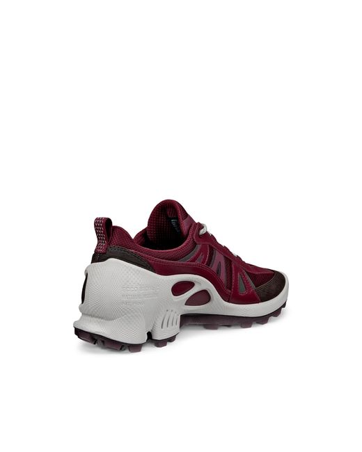 Ecco Purple Biom C-Trail