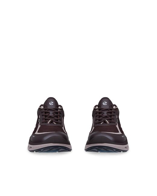 Ecco Brown Biom 720 for men