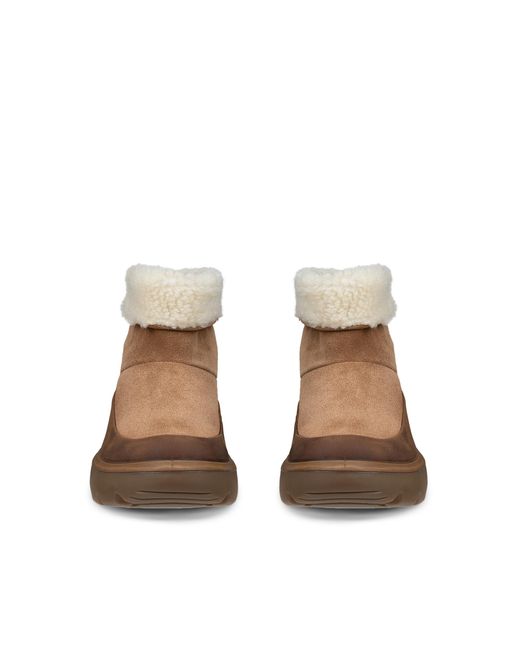 Ecco Brown Glacia