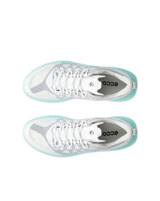 Ecco Blue Biom 720 Breathru