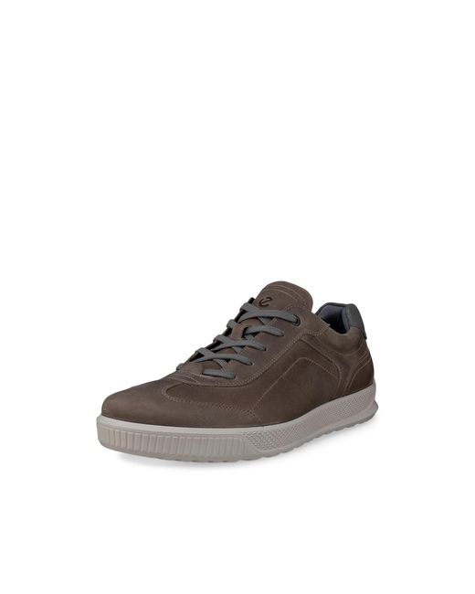 Ecco Brown Byway for men