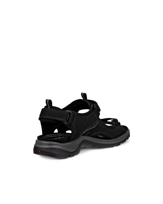 Ecco Black Offroad
