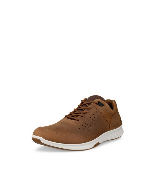Ecco Exceed in Brown für Herren