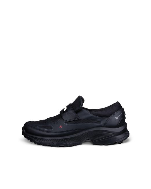 Ecco Blue Receptor Xp