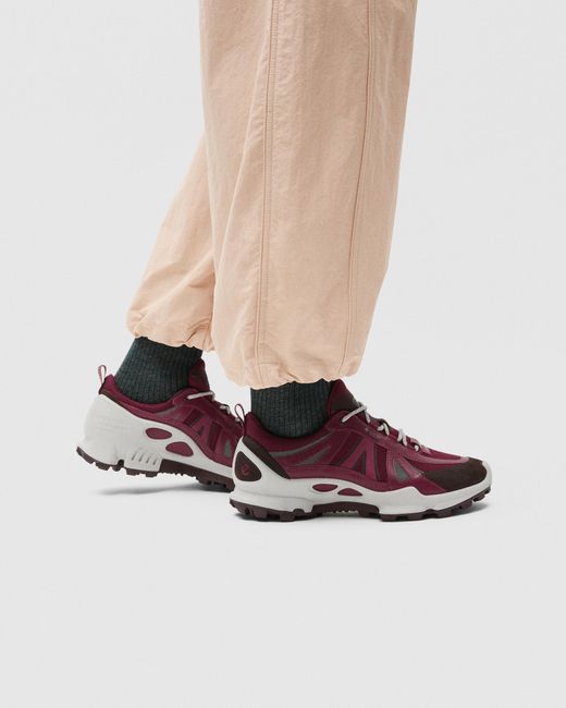 Ecco Purple Biom C-Trail