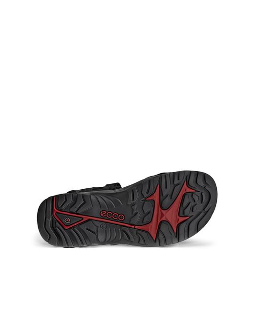 Ecco Black Offroad for men