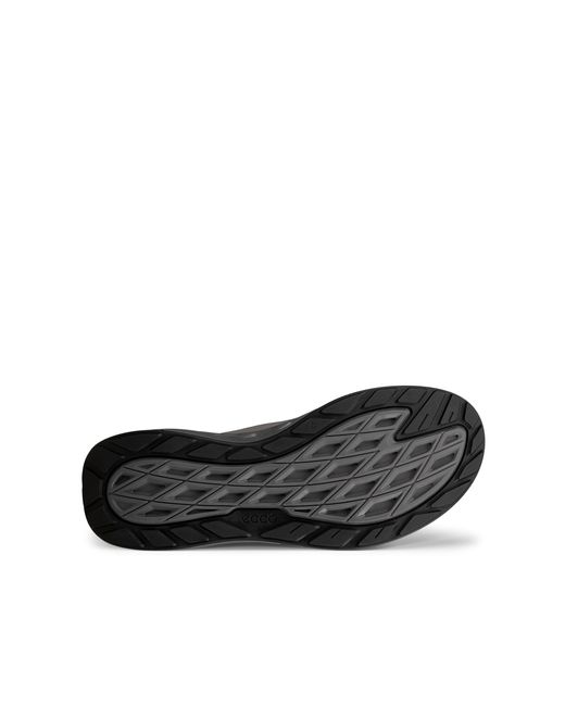 Ecco Gray Biom 720 for men